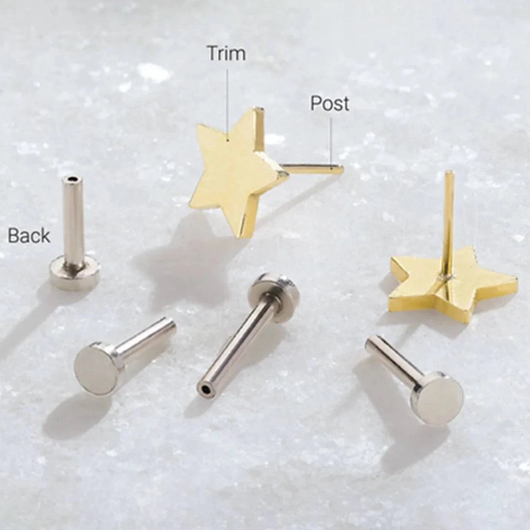 Spooky Spider Studs - Petra Star