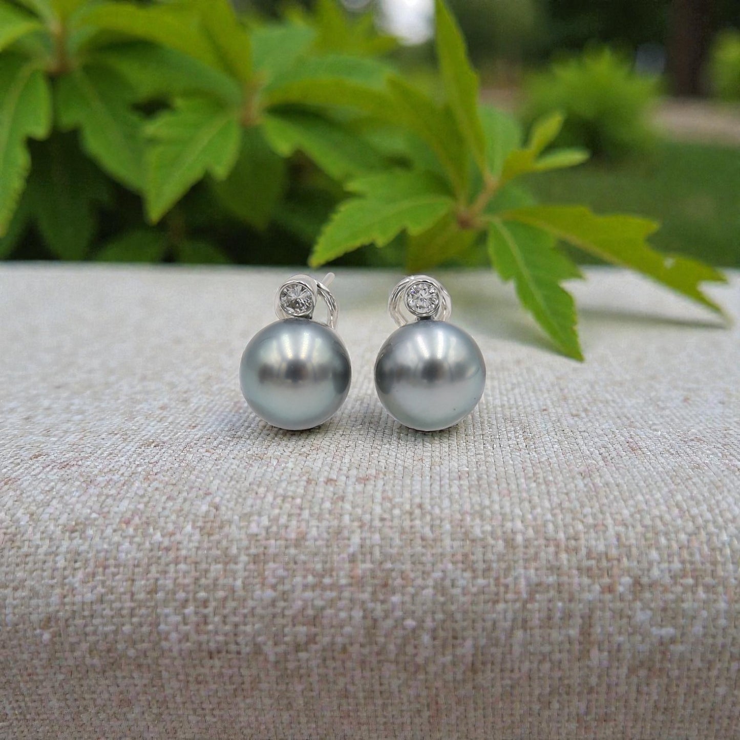 Tahitian Pearl and Diamond Stud Earrings in 18k White Gold - Petra Star