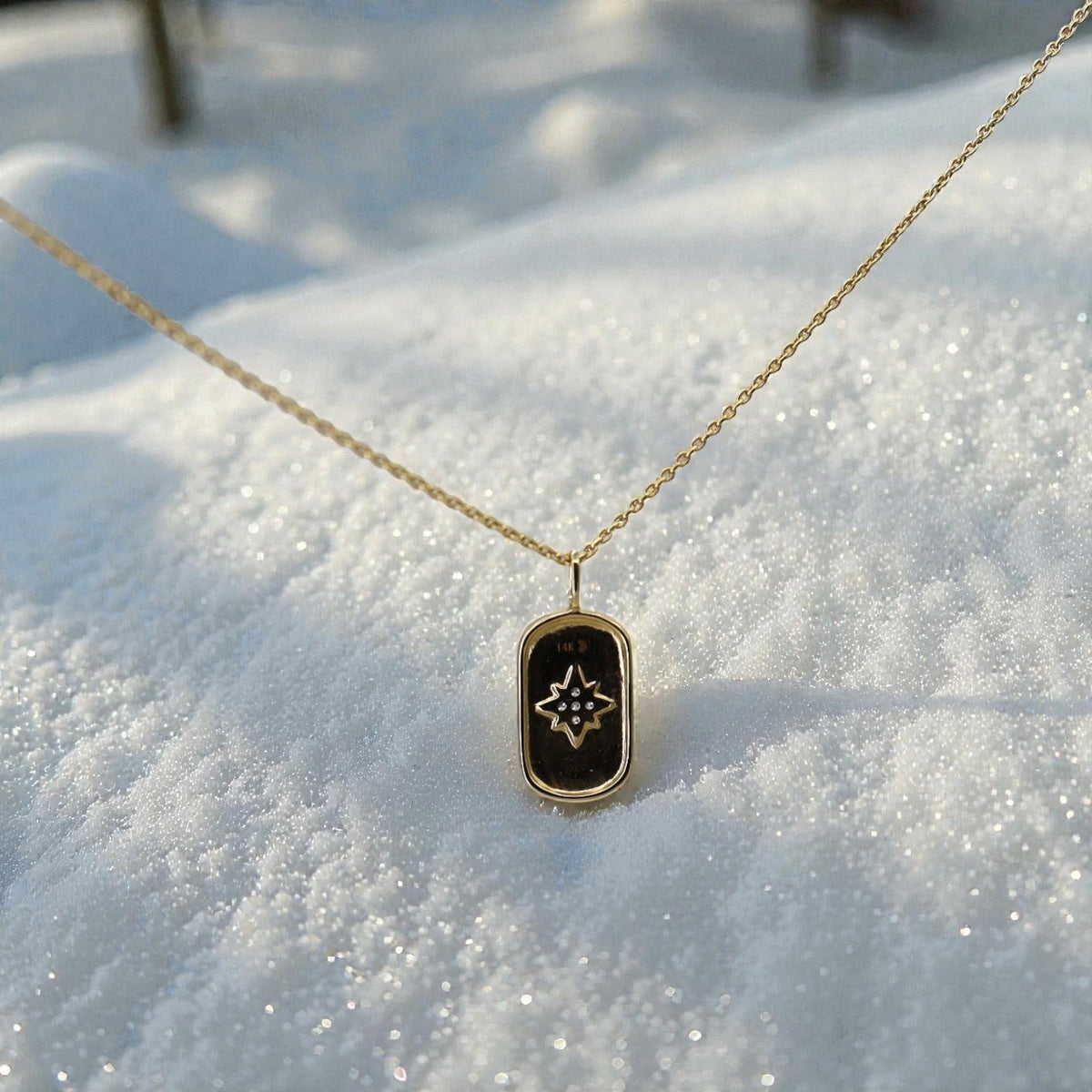 Diamond Star Dog Tag Necklace in 14k Yellow Gold - Petra Star