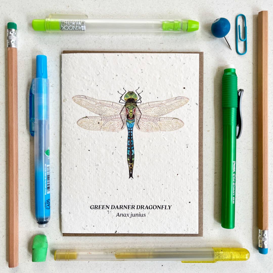 Green Darner Dragonfly Plantable Wildflower Seed Card - Petra Star