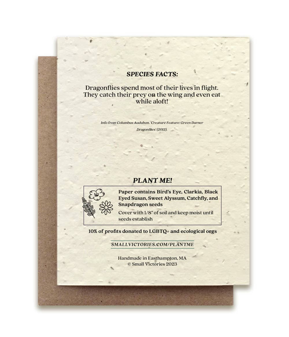 Green Darner Dragonfly Plantable Wildflower Seed Card - Petra Star