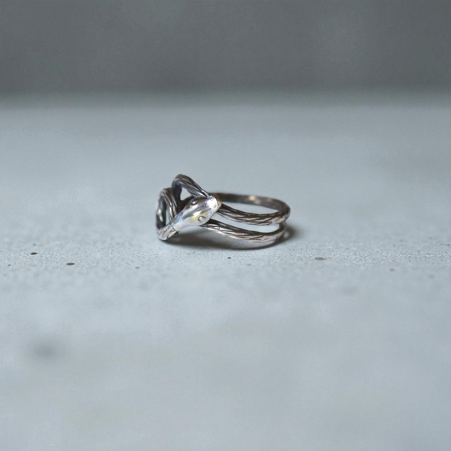 Men's Vintage Silver Snake Ring - Petra Star