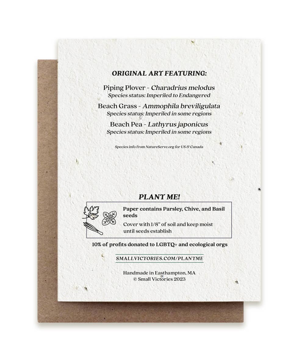 Summer Plovers Plantable Herb Seed Card - Petra Star