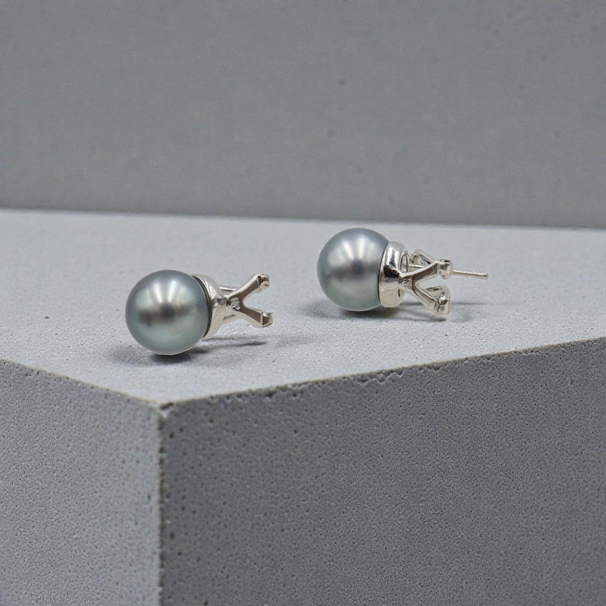 Tahitian Pearl and Diamond Stud Earrings in 18k White Gold - Petra Star