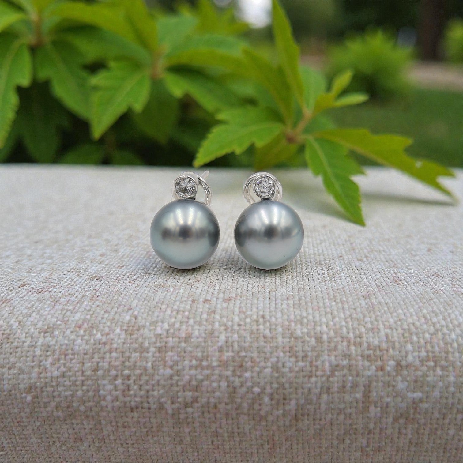 Tahitian Pearl and Diamond Stud Earrings in 18k White Gold - Petra Star