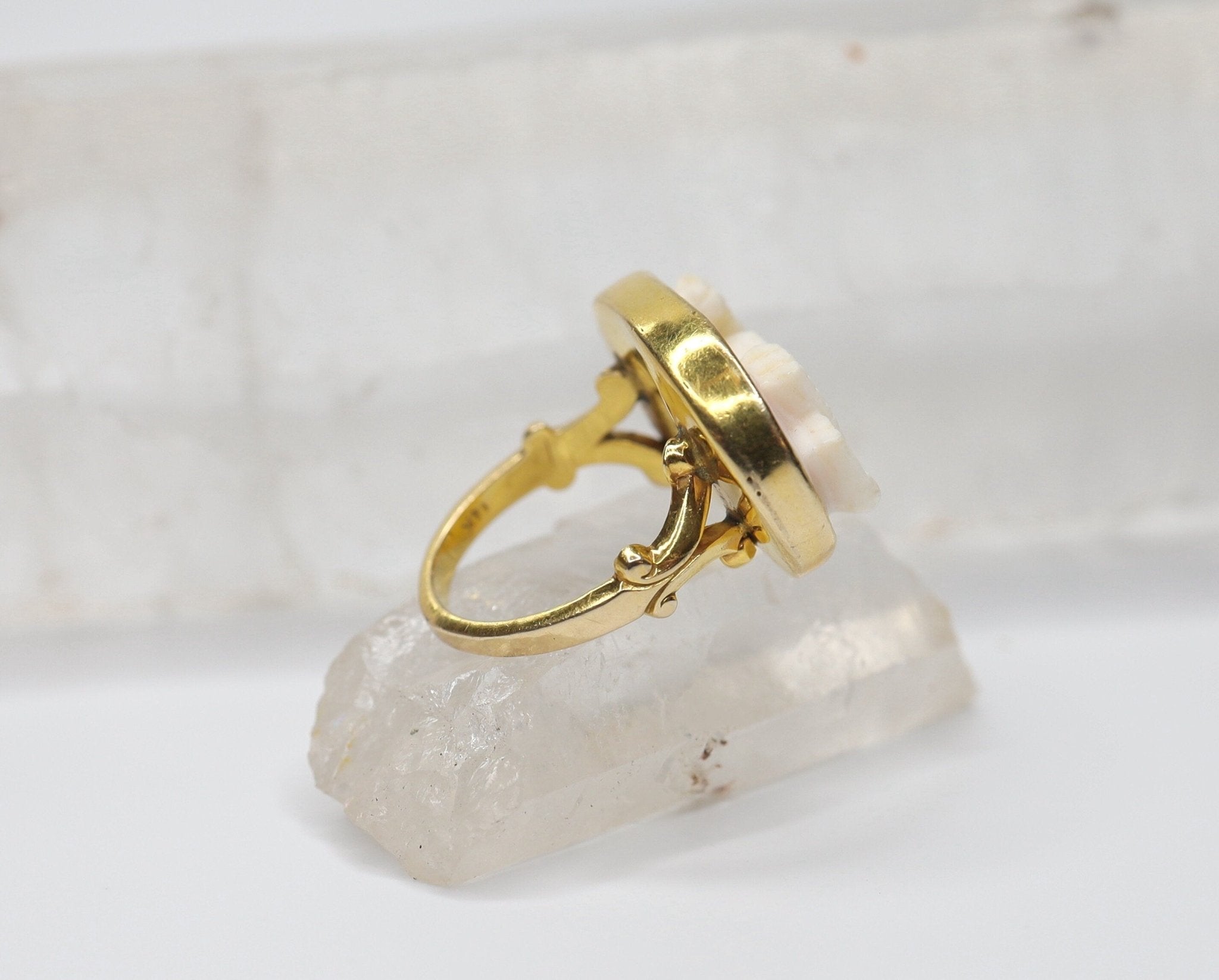 Victorian Coral Cameo Ring in 14k Yellow Gold - Petra Star