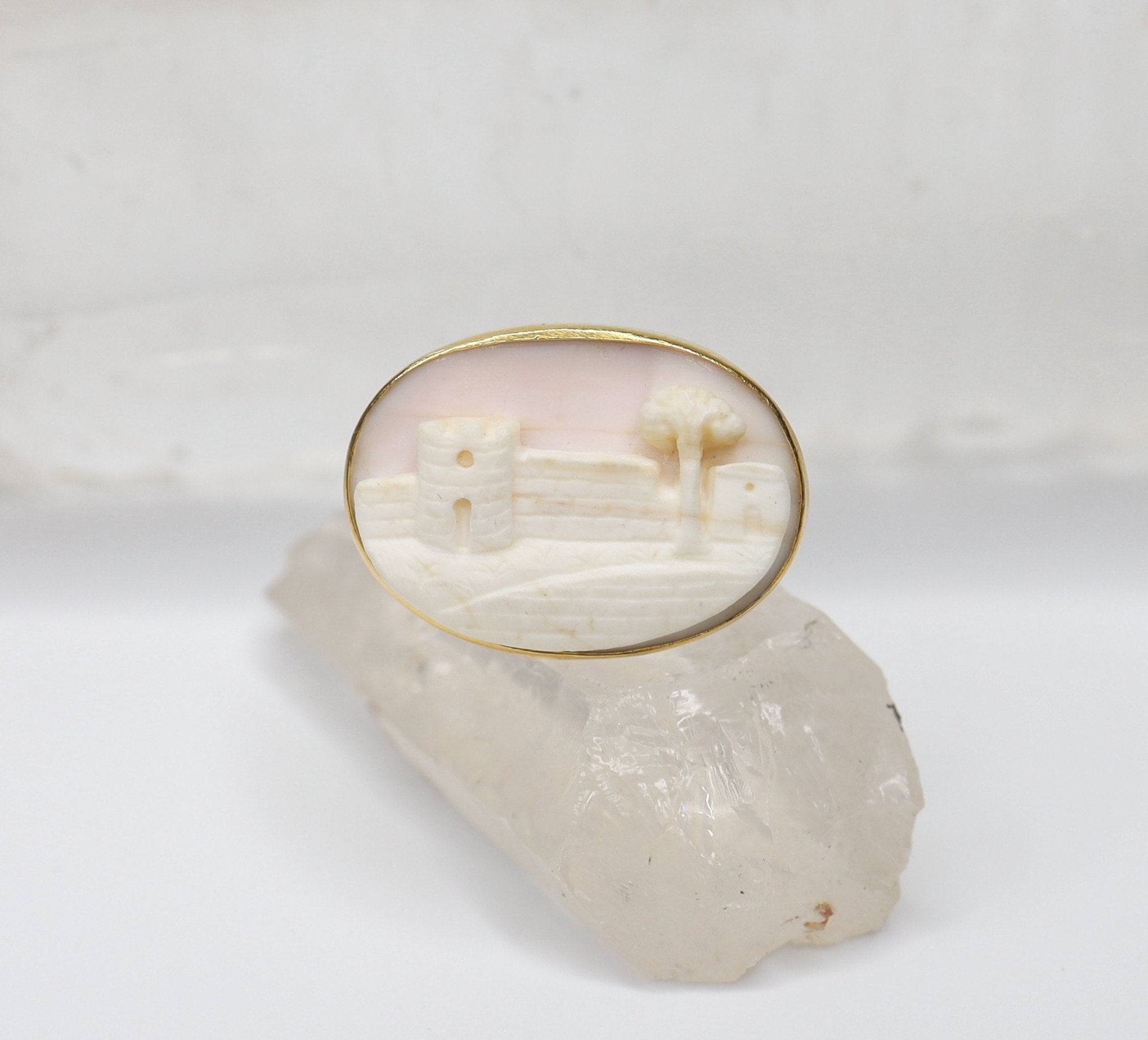 Victorian Coral Cameo Ring in 14k Yellow Gold - Petra Star