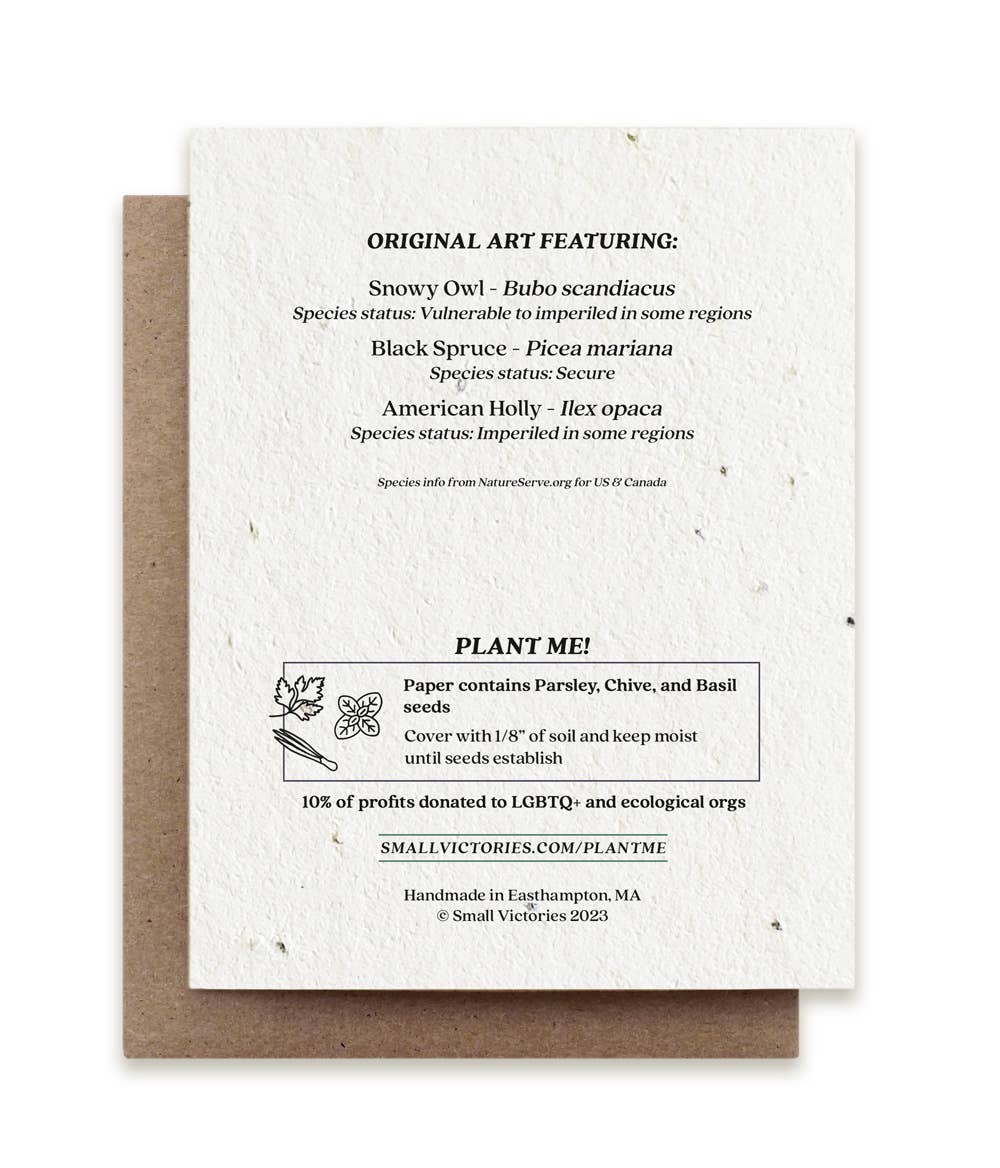 Winter Snowy Owl Plantable Herb Seed Card - Petra Star