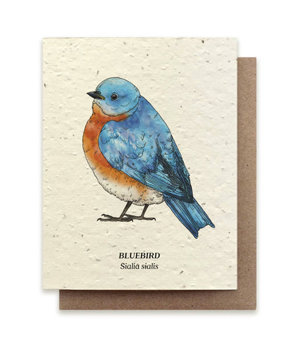 Tarjeta con semillas de flores silvestres plantables Bluebird