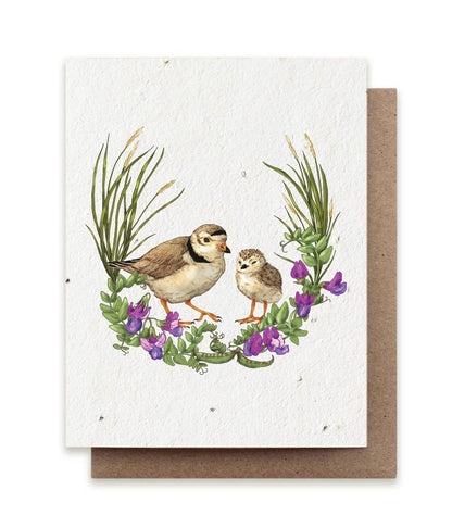 Summer Plovers Plantable Herb Seed Card