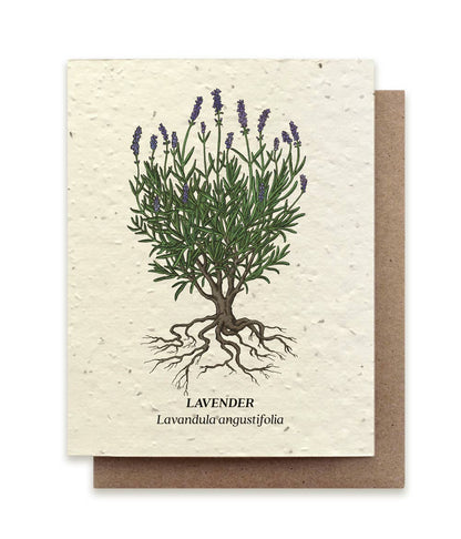 Tarjeta con semillas de flores silvestres plantables de lavanda