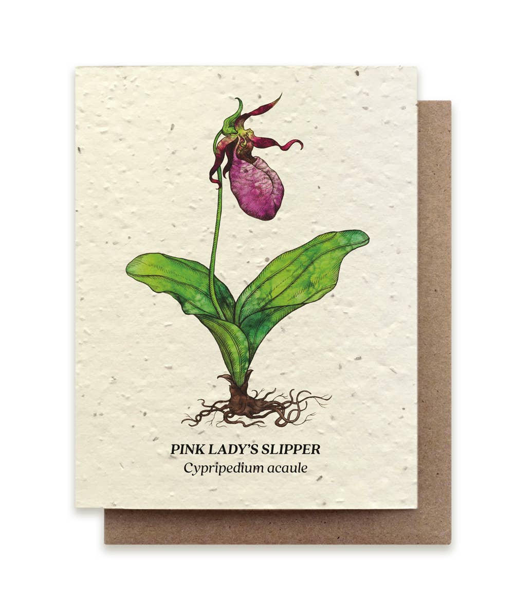 Lady's Slipper Plantable Wildflower Seed Card - Petra Star