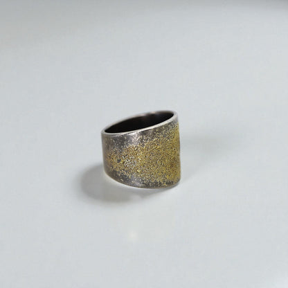 Silver ring with gold accents on a light gray background
