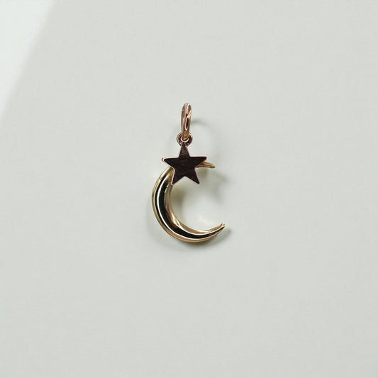 Victorian Crescent Moon and Star Pendant in 14k Gold