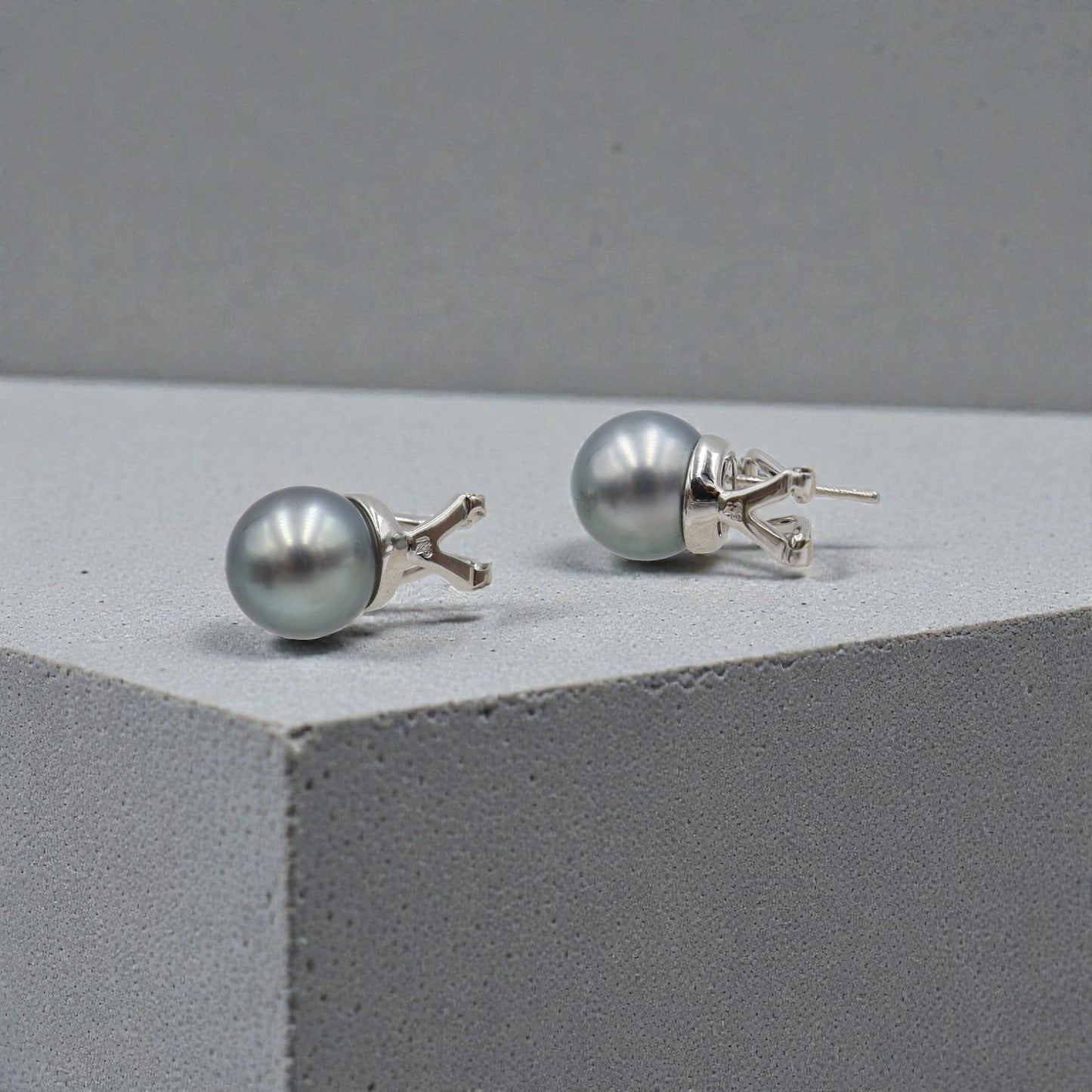 Tahitian Pearl and Diamond Stud Earrings in 18k White Gold - Petra Star
