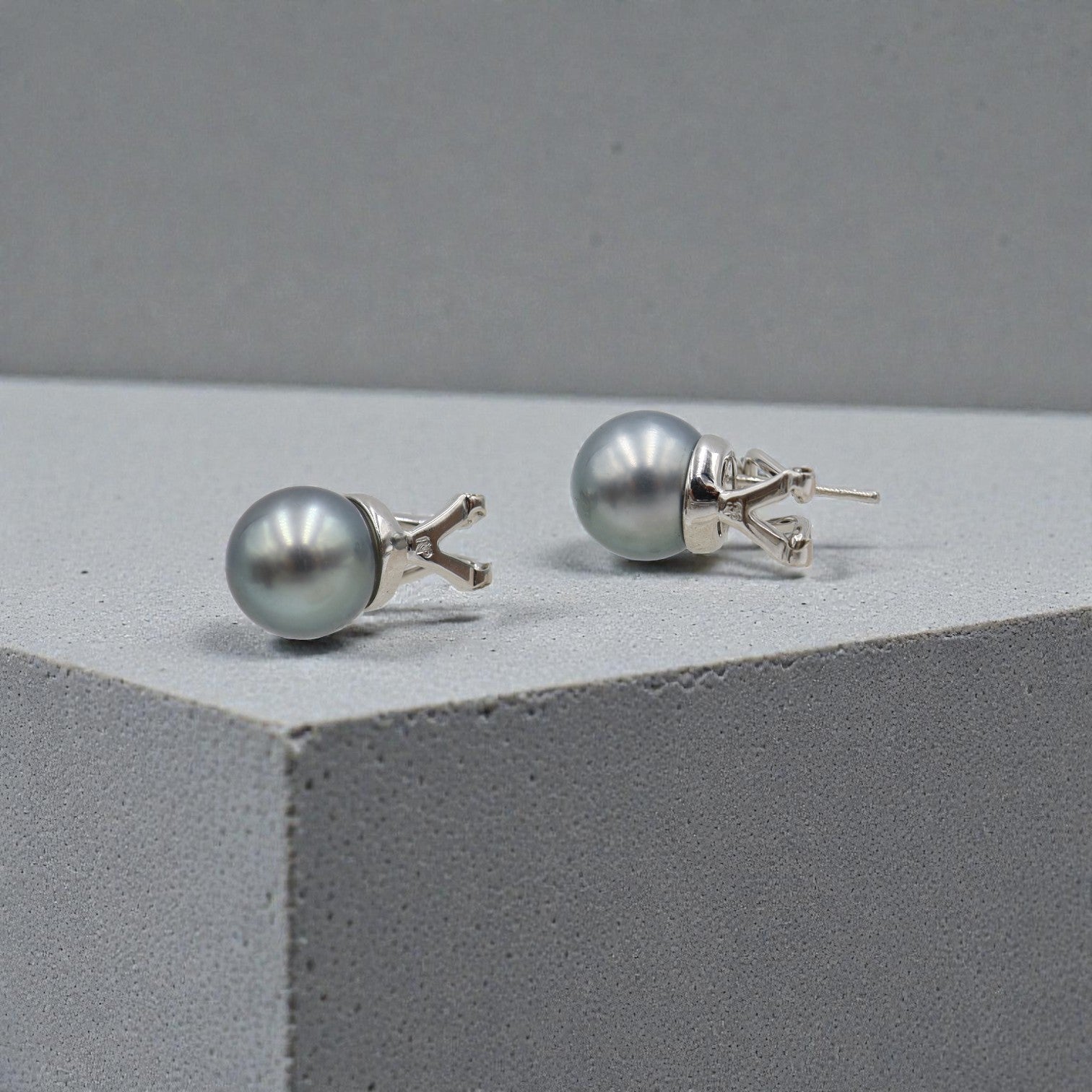 Tahitian Pearl and Diamond Stud Earrings in 18k White Gold - Petra Star