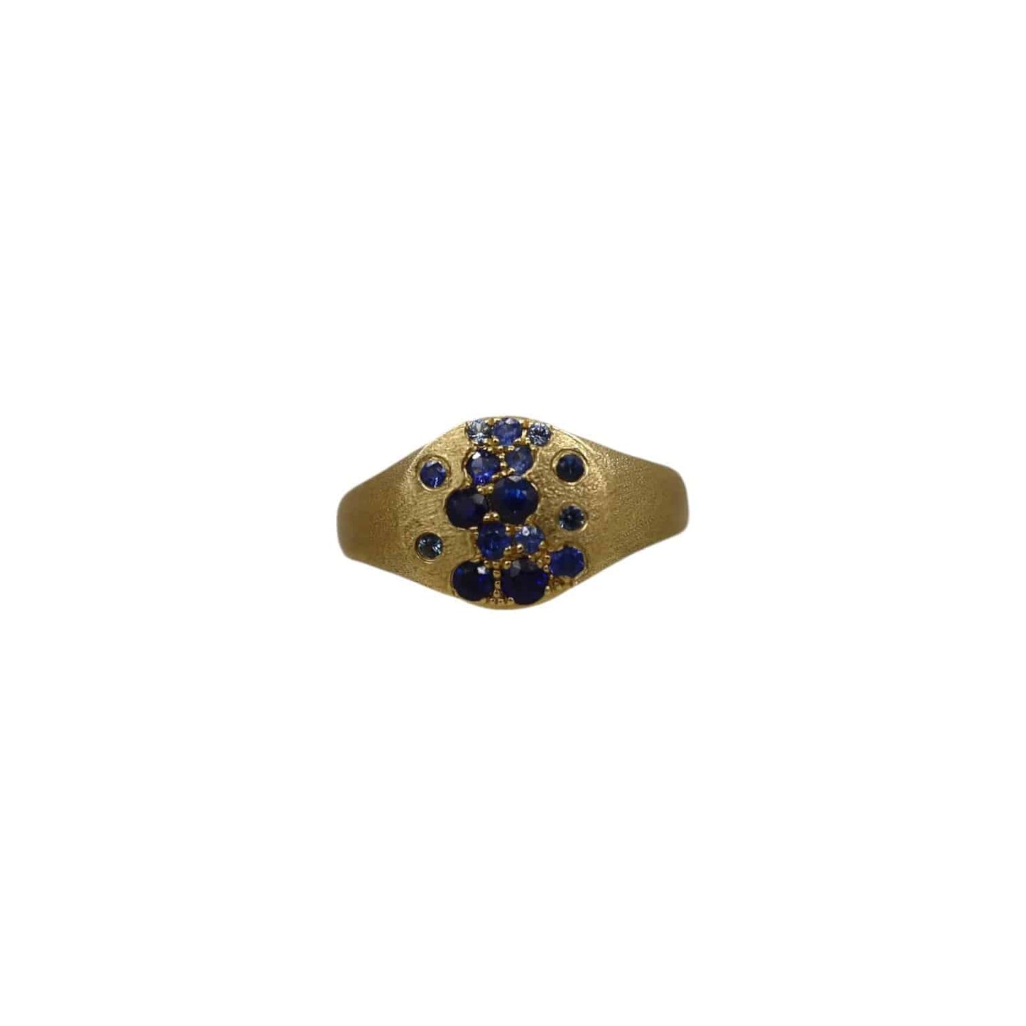 Signet Gradient Sapphire Band in 14k Gold