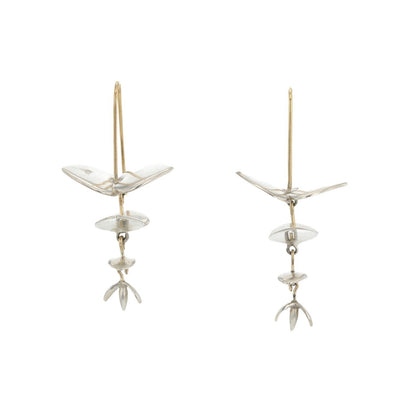 Small Eucalyptus Earrings - Petra Star