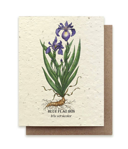 Tarjeta con semillas de flores silvestres plantables de lirio de bandera azul