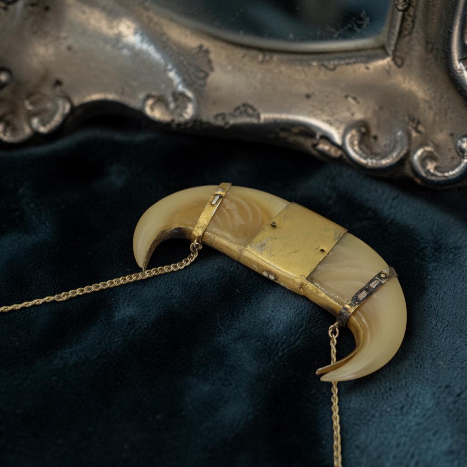 A vintage curved tigers claw pendant necklace with gold-toned metal fittings and chain, displayed on dark velvet fabric with part of an ornate silver mirror visible in the background.