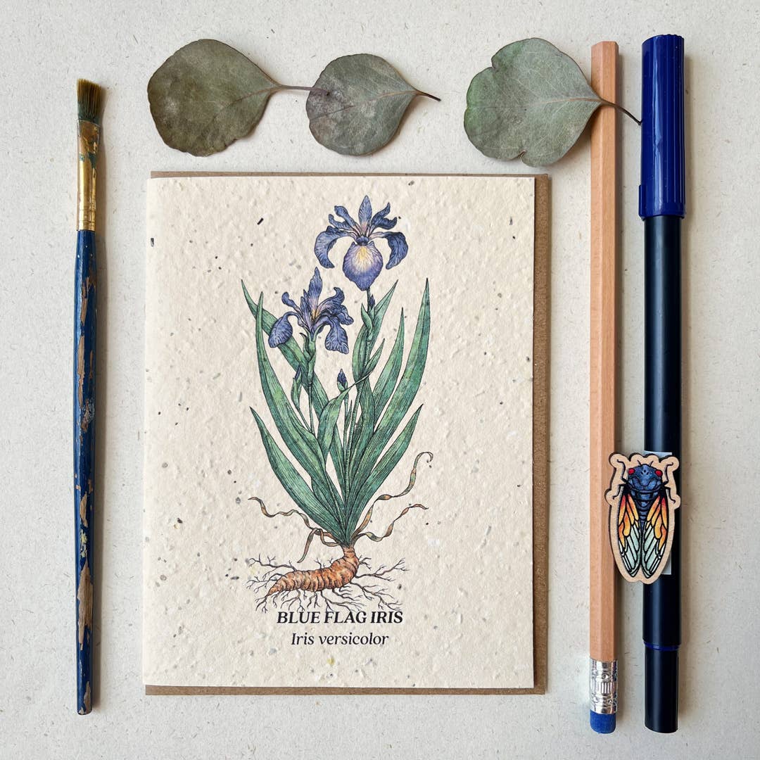 Blue Flag Iris Plantable Wildflower Seed Card - Petra Star