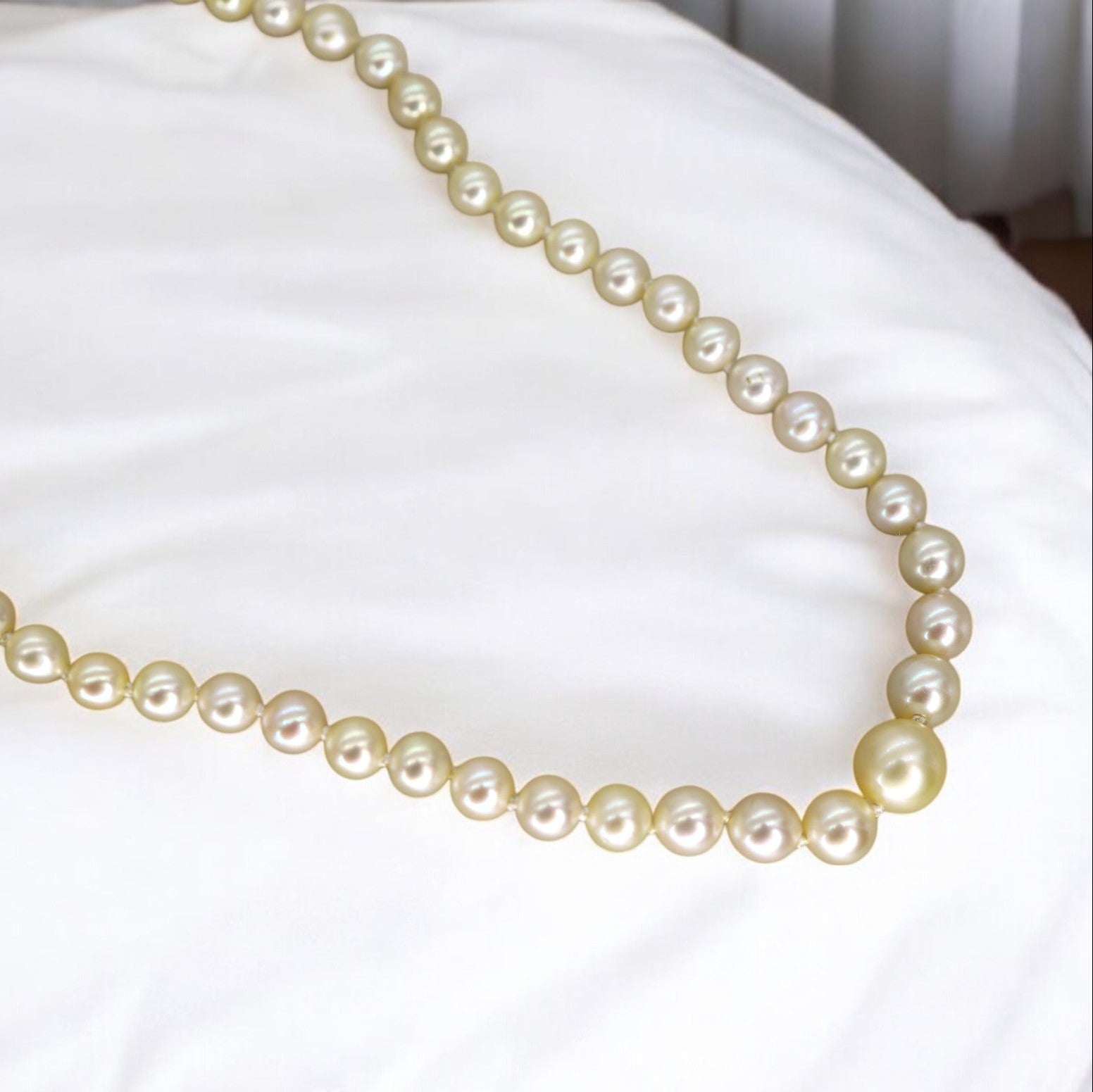 Graduated Pearl Necklace - Petra Star