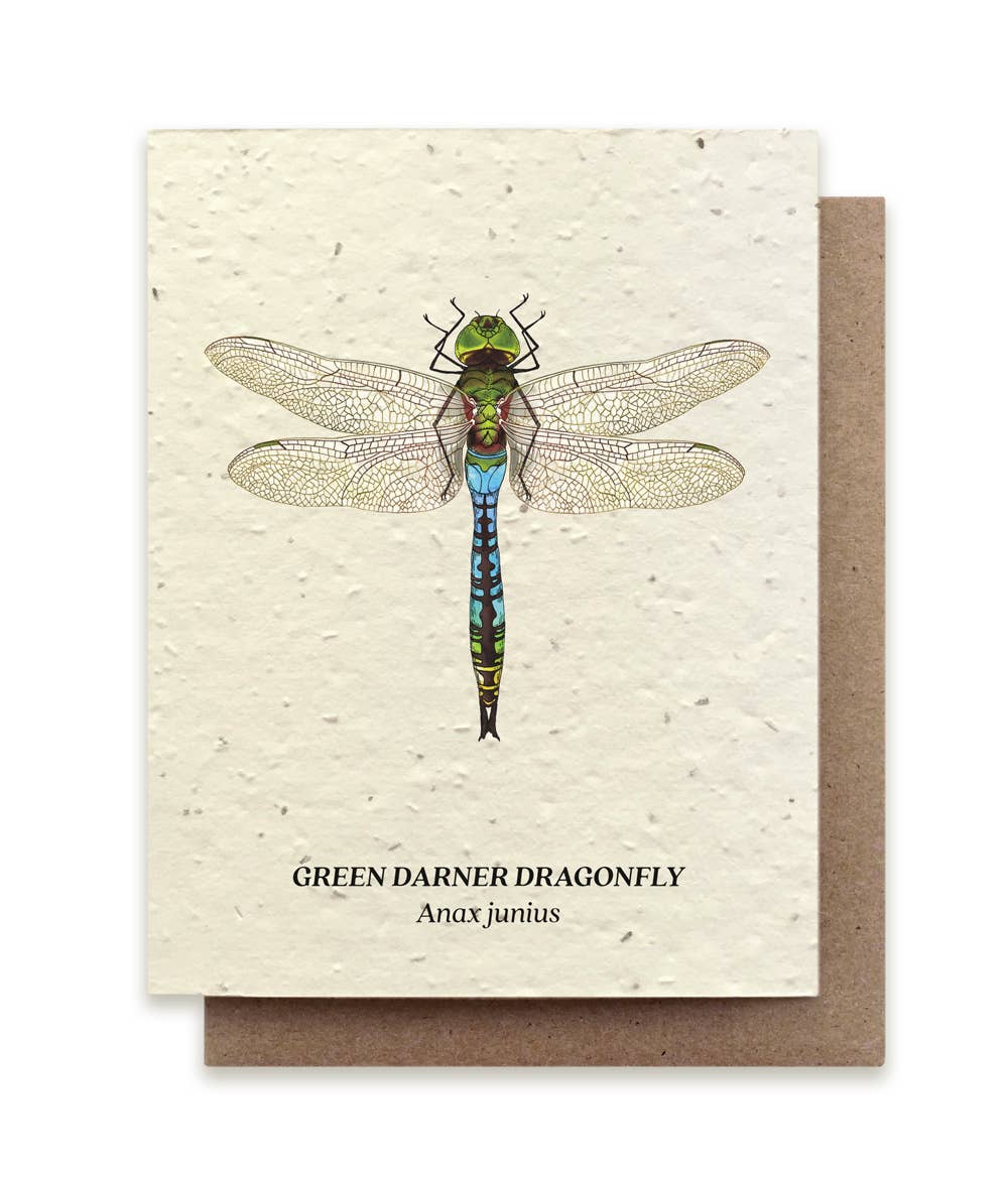 Green Darner Dragonfly Plantable Wildflower Seed Card - Petra Star