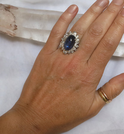 12.97 ct No Heat Ceylon Sapphire in Platinum and Diamond Ballerina Ring