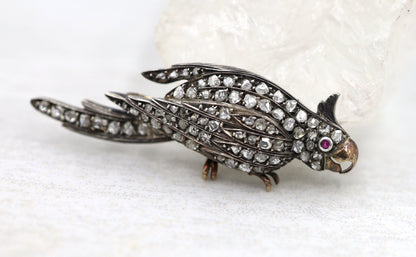 Victorian Diamond Bird Brooch - DK649