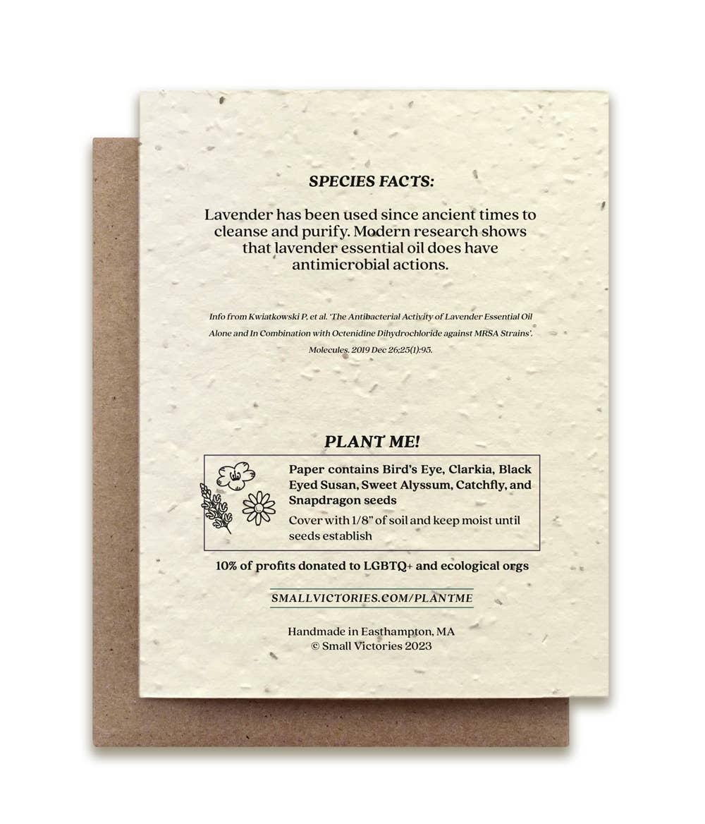 Lavender Plantable Wildflower Seed Card - Petra Star