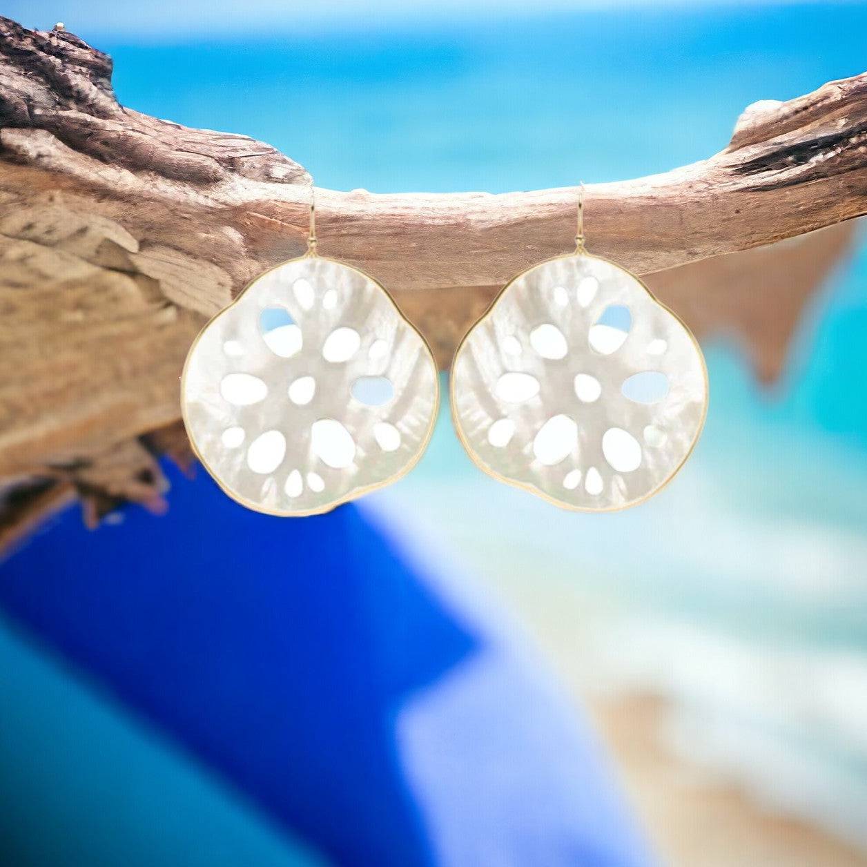 Small Sand Dollar Earrings - Petra Star