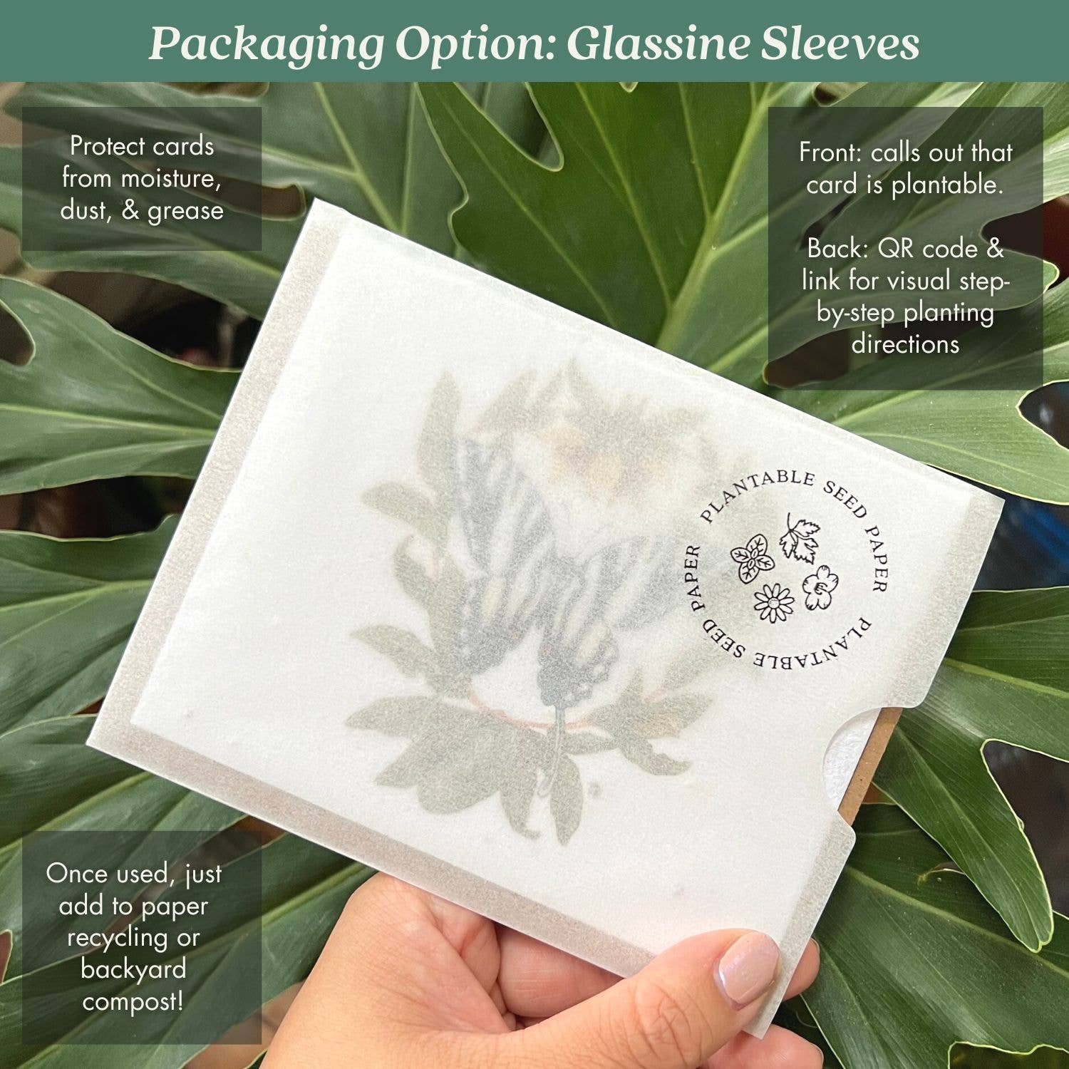 Summer Plovers Plantable Herb Seed Card - Petra Star