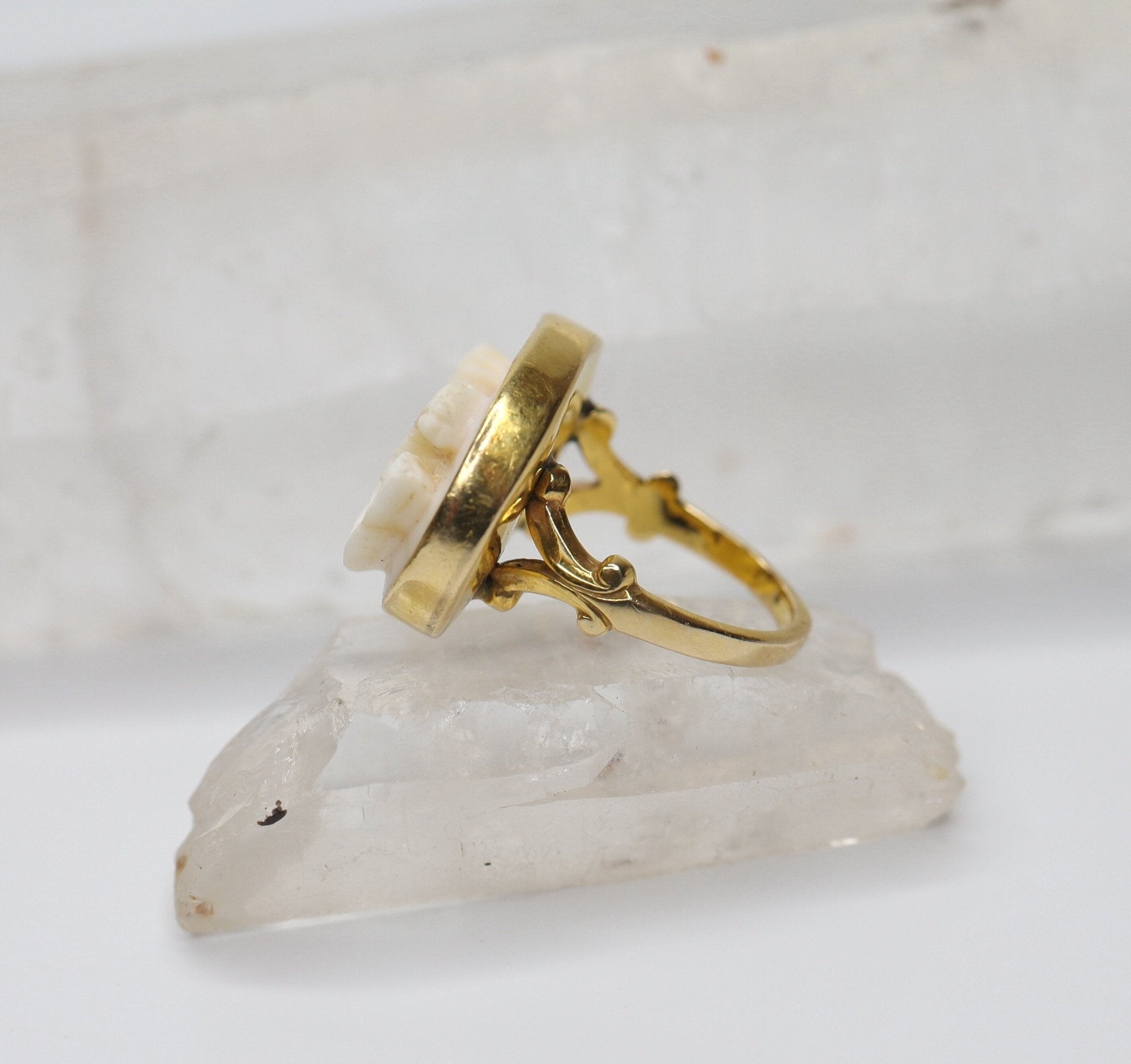 Victorian Coral Cameo Ring in 14k Yellow Gold - Petra Star