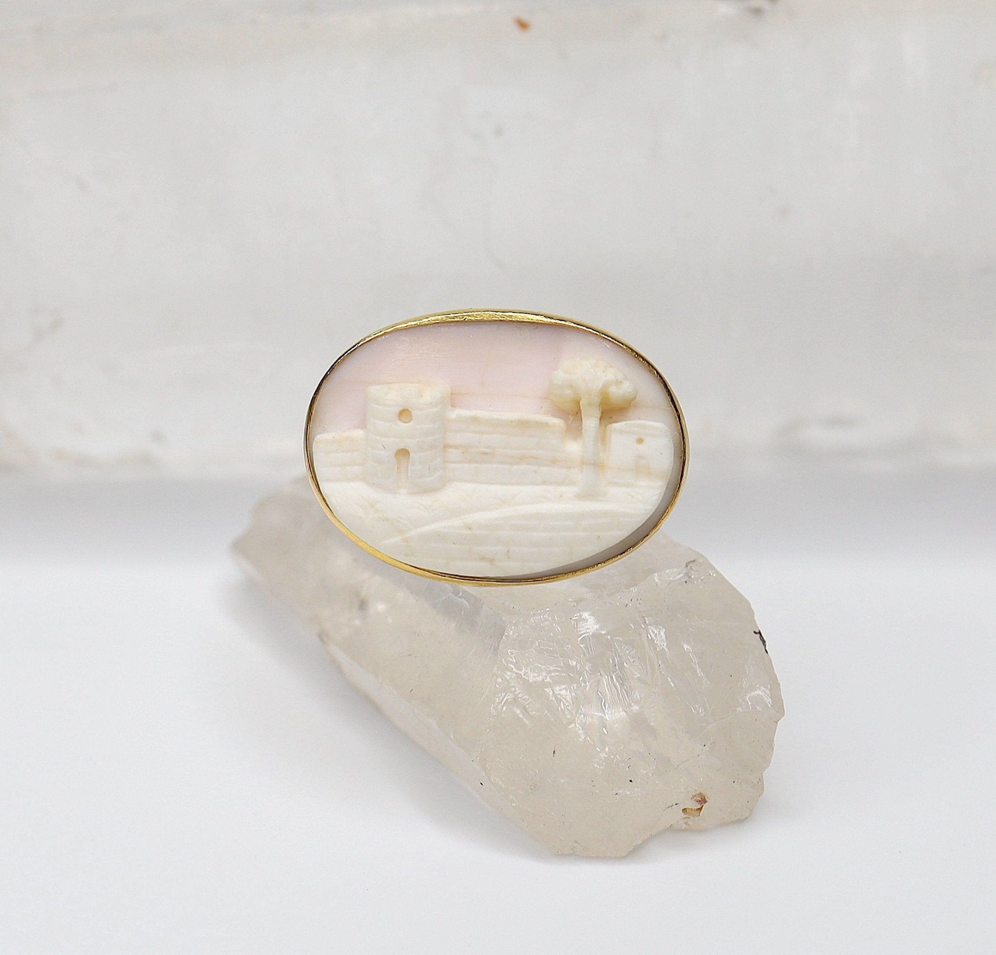 Victorian Coral Cameo Ring in 14k Yellow Gold - Petra Star